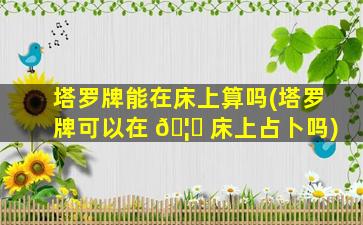 塔罗牌能在床上算吗(塔罗牌可以在 🦁 床上占卜吗)